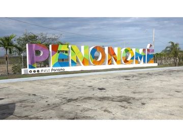 ALQUILER CASA PENONOME 900 M2 TERRENO CV