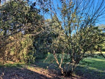 LOTE ARBOLADO EN VENTA . FRENTE SUR  1187 M2 FUNES