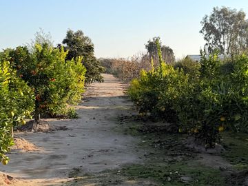 Parcela en venta  en MELIPILLA