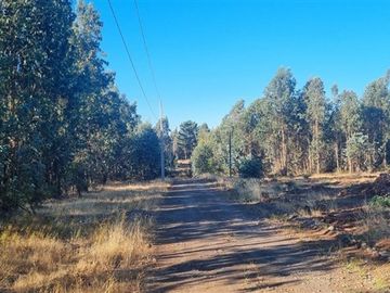 Parcela en Venta en CAMINO SAN RAFAEL, CHILLAN VIEJO