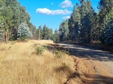 Parcela en Venta en CAMINO SAN RAFAEL, CHILLAN VIEJO