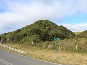 Campo con bosque nativo / Cucao, Chonchi