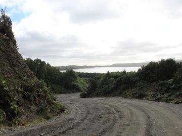 Campo con bosque nativo / Cucao, Chonchi