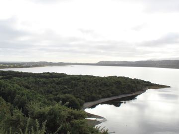 Campo con bosque nativo / Cucao, Chonchi