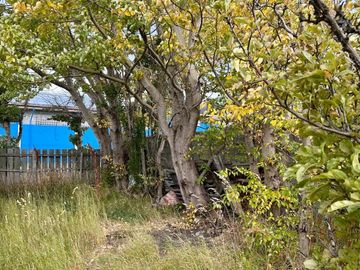PROPIEDAD DE 2 DORMITORIOS EMPLAZADA EN AMPLIO TERRENO