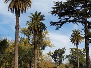 TERRENO EN VENTA EN SAINT JOSEPH LOMGCHAMPS