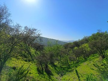 Terreno en Limache, cercano al peaje los Laureles.