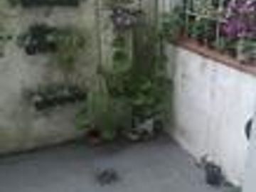 PH de tres ambientes en planta baja con patio. 24 meses,
