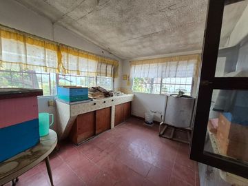 Se Vende Huerta de Aguacate Hass, Nepantla, Estado de México