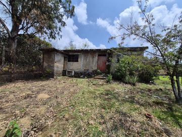 Se Vende Huerta de Aguacate Hass, Nepantla, Estado de México