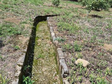 Se Vende Huerta de Aguacate Hass, Nepantla, Estado de México