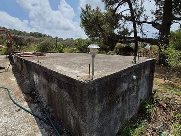 Se Vende Huerta de Aguacate Hass, Nepantla, Estado de México