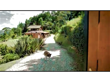 Finca en arriendo en Rionegro, Sector Aeropuerto