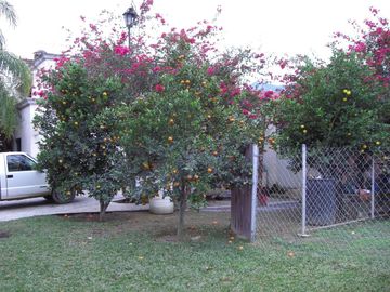 Quinta colindante con presa de La Boca