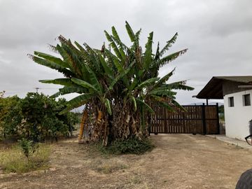 PARCELA EN PAN DE AZUCAR DE 5327 M2 EN CALLEJON EL CARMEN