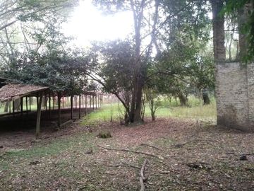 Venta de loteo/terr desarrollo, La Lonja  Pilar