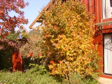 Casa en venta  en VIÑA DEL MAR