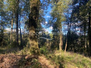 Parcela en venta  en PUERTO VARAS