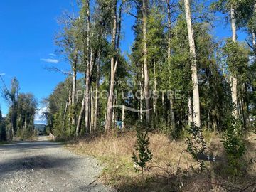 Parcela en venta  en PUERTO VARAS