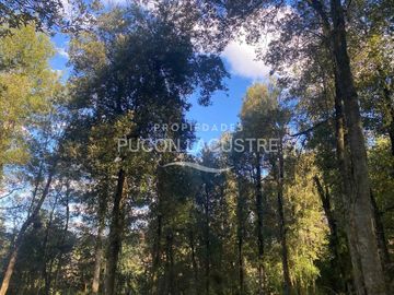Parcela en venta  en PUERTO VARAS