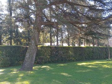 VENTA QUINTA 5 AMB JOSE C PAZ