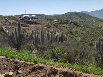 Parcela en venta  en LA SERENA