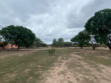Campo en venta - Cuadro Nacional - San Rafael