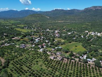 Rancho agricola y ganadero en venta 18.73 hectareas en Paso de San Antonio, Rioverde, S.L.P.