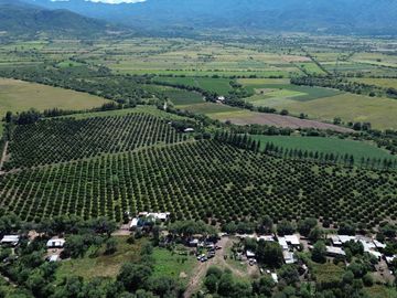Rancho agricola y ganadero en venta 18.73 hectareas en Paso de San Antonio, Rioverde, S.L.P.