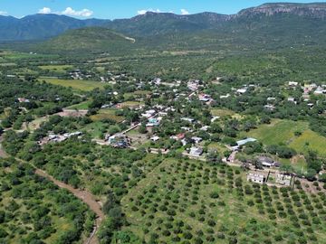 Rancho agricola y ganadero en venta 18.73 hectareas en Paso de San Antonio, Rioverde, S.L.P.