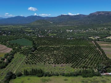 Rancho agricola y ganadero en venta 18.73 hectareas en Paso de San Antonio, Rioverde, S.L.P.