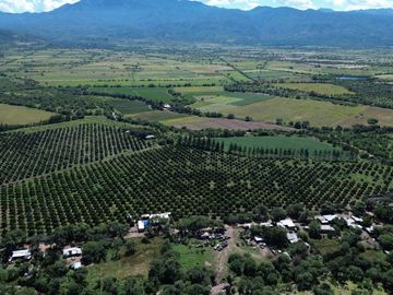 Rancho agricola y ganadero en venta 18.73 hectareas en Paso de San Antonio, Rioverde, S.L.P.