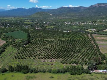 Rancho agricola y ganadero en venta 18.73 hectareas en Paso de San Antonio, Rioverde, S.L.P.