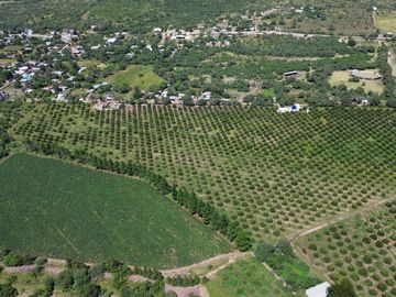 Rancho agricola y ganadero en venta 18.73 hectareas en Paso de San Antonio, Rioverde, S.L.P.