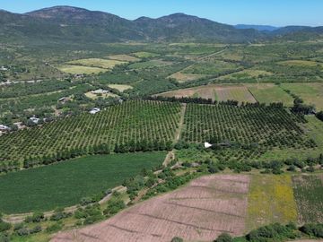 Rancho agricola y ganadero en venta 18.73 hectareas en Paso de San Antonio, Rioverde, S.L.P.