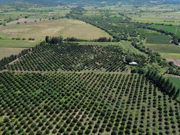 Rancho agricola y ganadero en venta 18.73 hectareas en Paso de San Antonio, Rioverde, S.L.P.