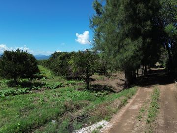 Rancho agricola y ganadero en venta 18.73 hectareas en Paso de San Antonio, Rioverde, S.L.P.