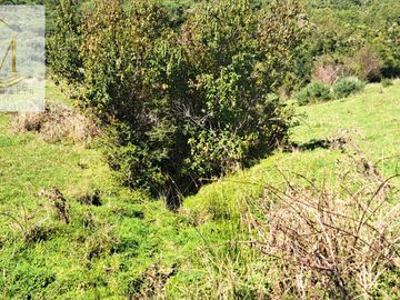Se vende 12,47 Hectáreas orilla de playa vista al Canal Dalcahue Isla Quinchao Chiloé