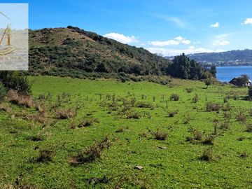 Se vende 12,47 Hectáreas orilla de playa vista al Canal Dalcahue Isla Quinchao Chiloé