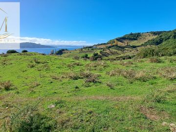 Se vende 12,47 Hectáreas orilla de playa vista al Canal Dalcahue Isla Quinchao Chiloé