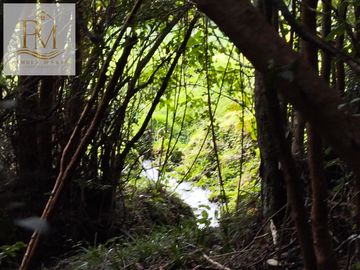 Se vende 12,47 Hectáreas orilla de playa vista al Canal Dalcahue Isla Quinchao Chiloé