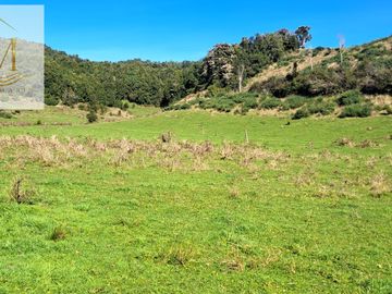 Se vende 12,47 Hectáreas orilla de playa vista al Canal Dalcahue Isla Quinchao Chiloé