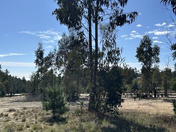 TERRENO EN CONDOMINIO PRIVADO
