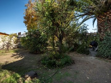 Más de 1.000 m² para invertir en La Reina