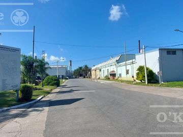 ALQUILER GALPÓN A ESTRENAR DE 1200 M2 EN PARQUE INDUSTRIAL PLATANOS