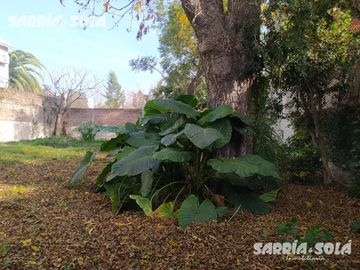 Venta lote de 640 m² en Tigre con planos aprobados