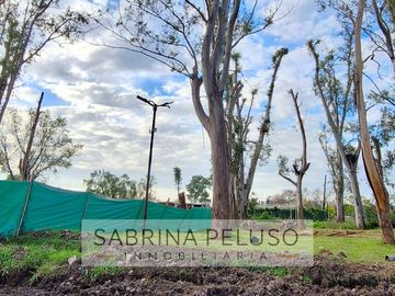 Venta Terreno ÁLVAREZ DEL BOSQUE