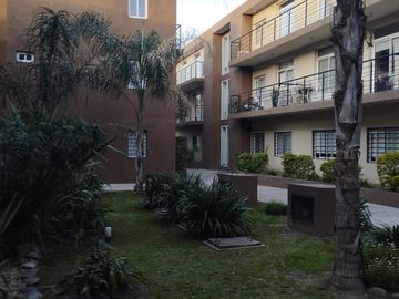 LA PALMERA