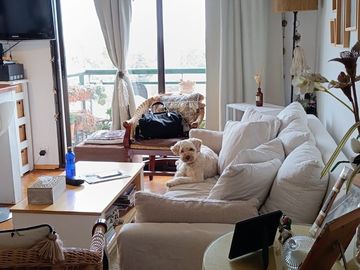 Departamento - Tigre- venta