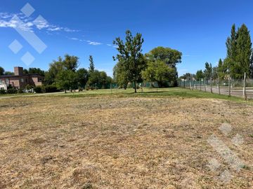 Terreno - La Castellana